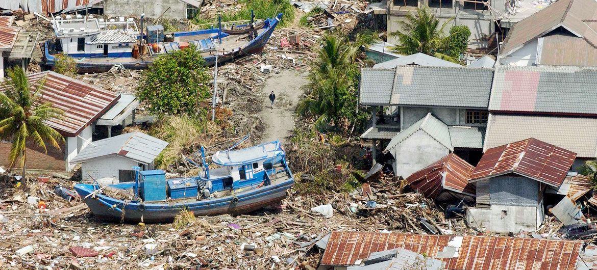 Boomer reccomend Asian natural disasters