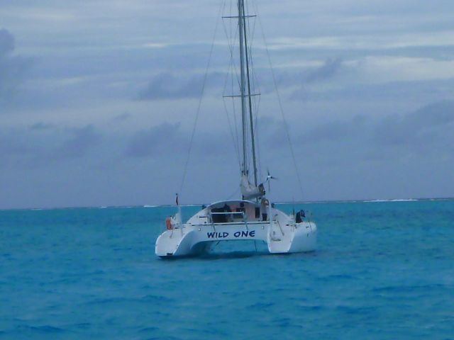 best of Naked Catamaran sailing